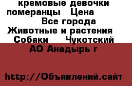 кремовые девочки померанцы › Цена ­ 30 000 - Все города Животные и растения » Собаки   . Чукотский АО,Анадырь г.